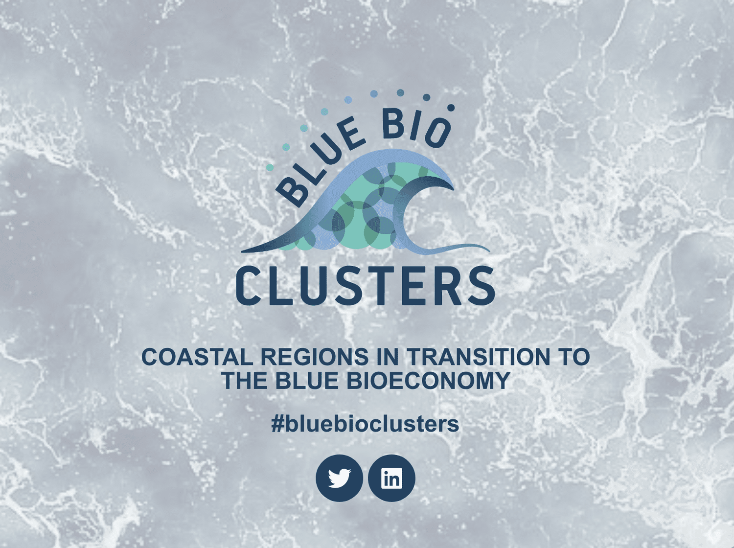 Eylíf is in a Case Study at Blue-Bioeconomy