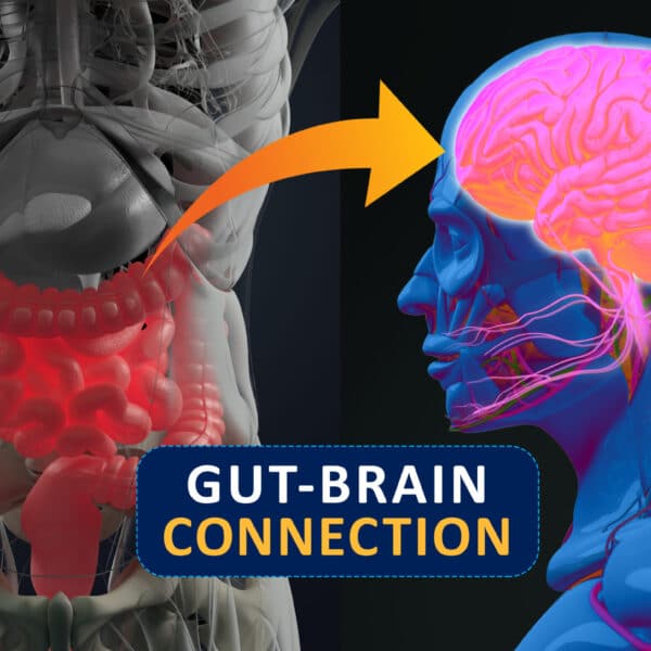 Getur heilbrigð þarmaflóra dregið úr líkum á að fá Alzheimersjúkdóminn?